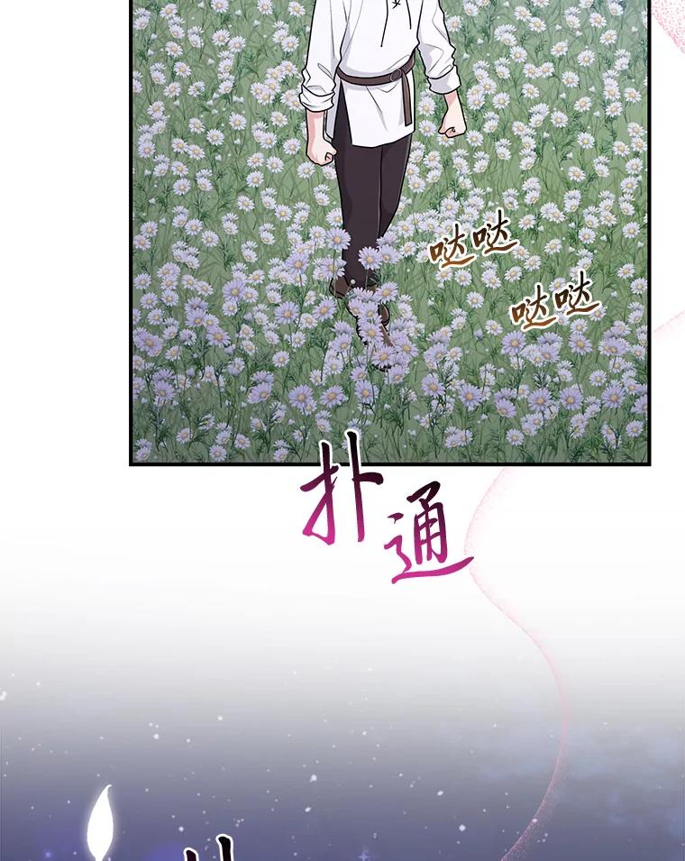 《完美演绎养女角色》75.在花田相遇 第40页