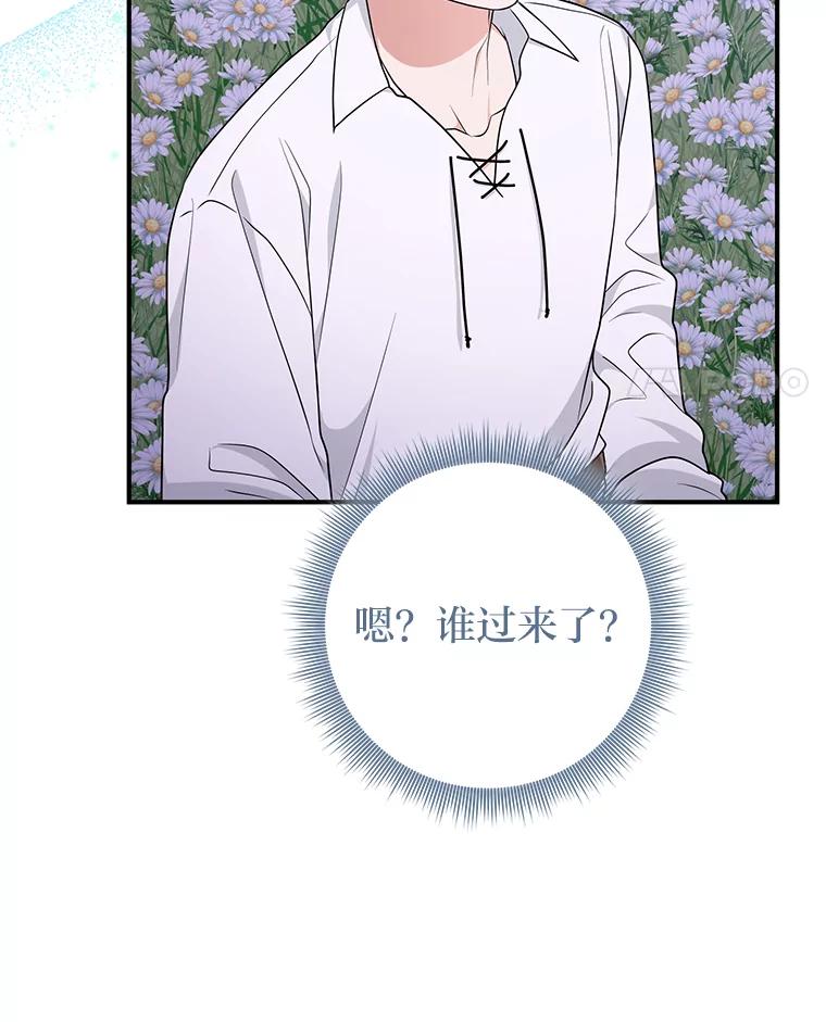 《完美演绎养女角色》75.在花田相遇 第35页