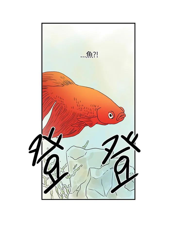 《当微风轻拂而过》第11话 第39页