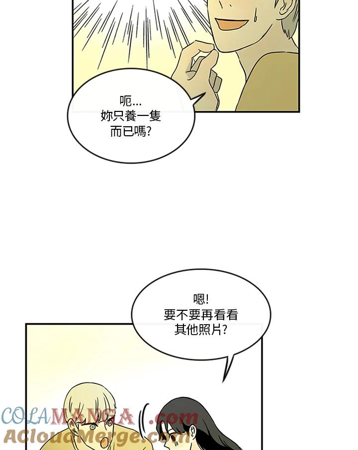 《当微风轻拂而过》第13话 第52页