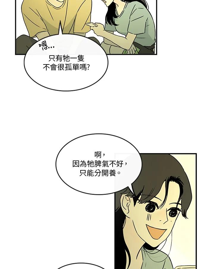 《当微风轻拂而过》第13话 第53页