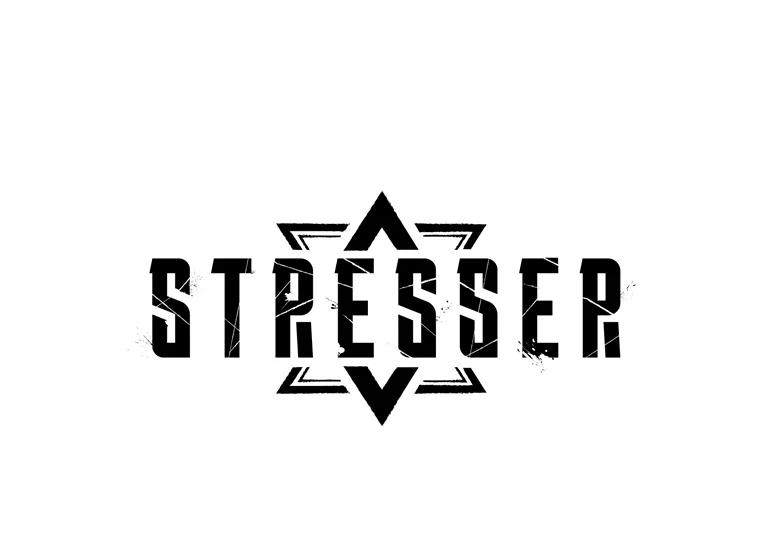 《STRESSER》91.吉格蒙特财团 第6页