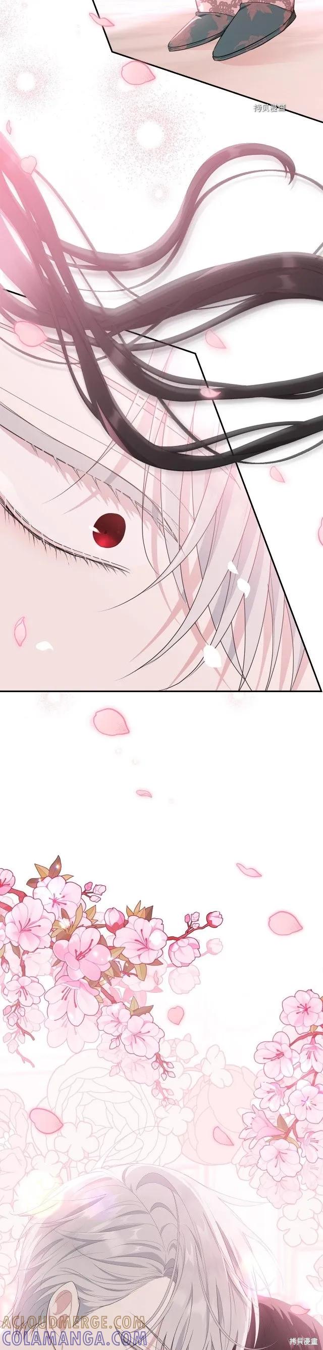 《明明是冷美人小姐却变成了忠犬大少爷》第83话 第19页