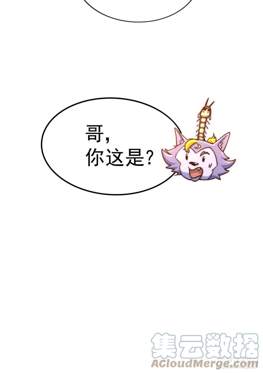 55.jpg