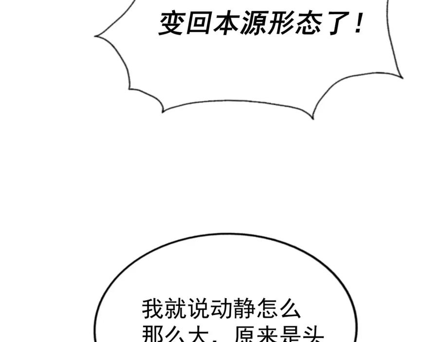 199.jpg