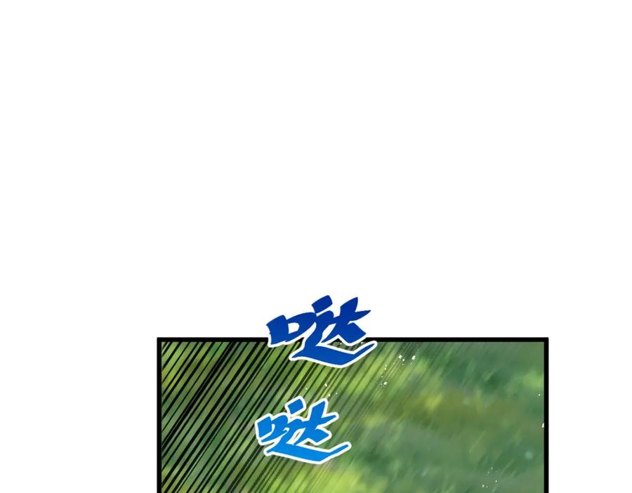 535.jpg