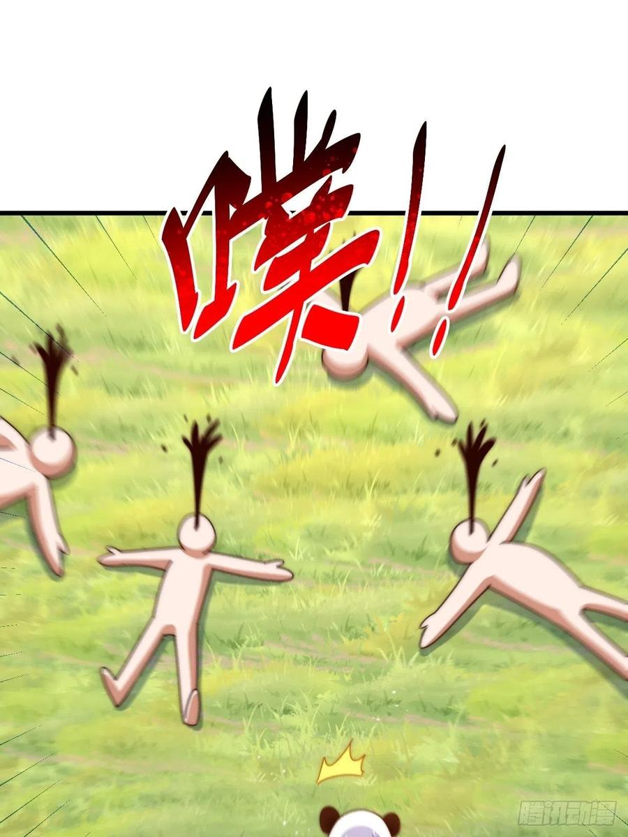 211.jpg