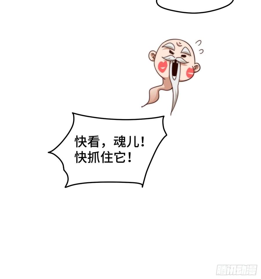 241.jpg