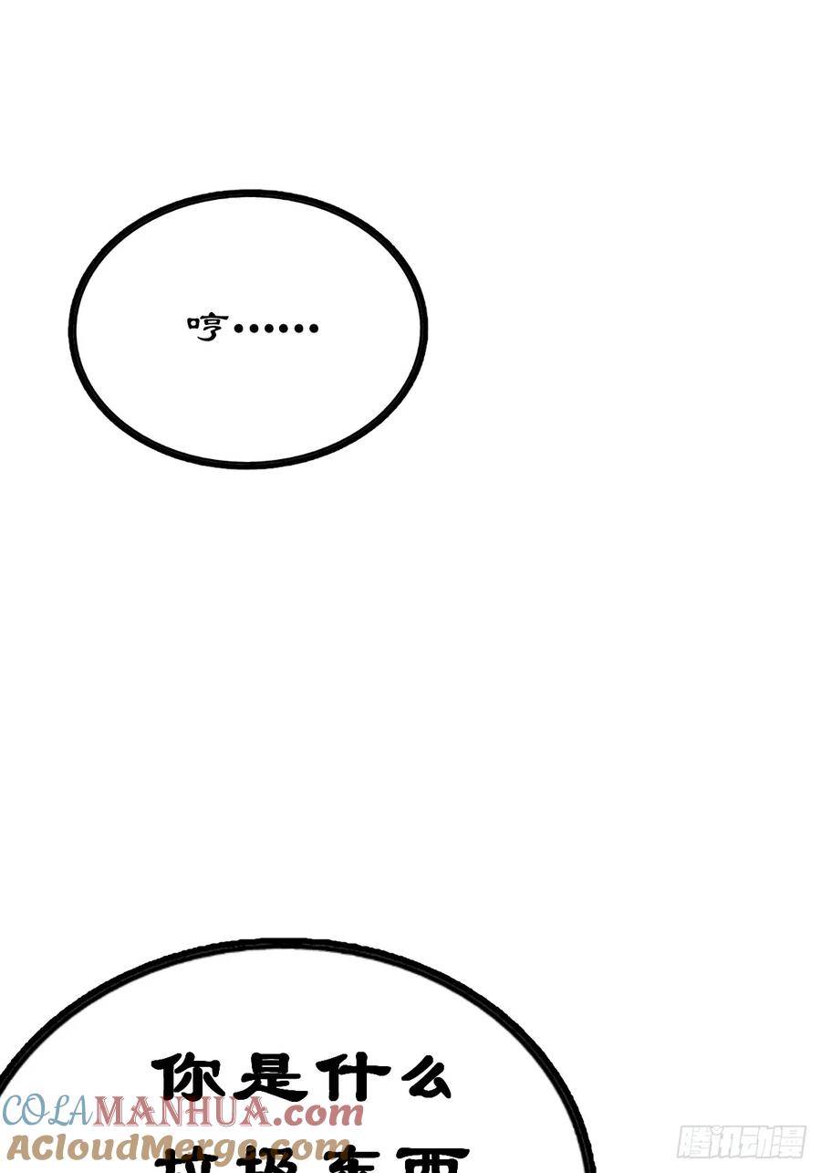241.jpg