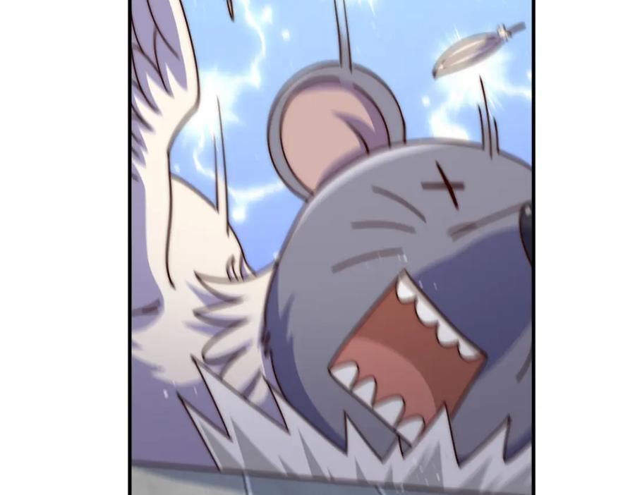 148.jpg