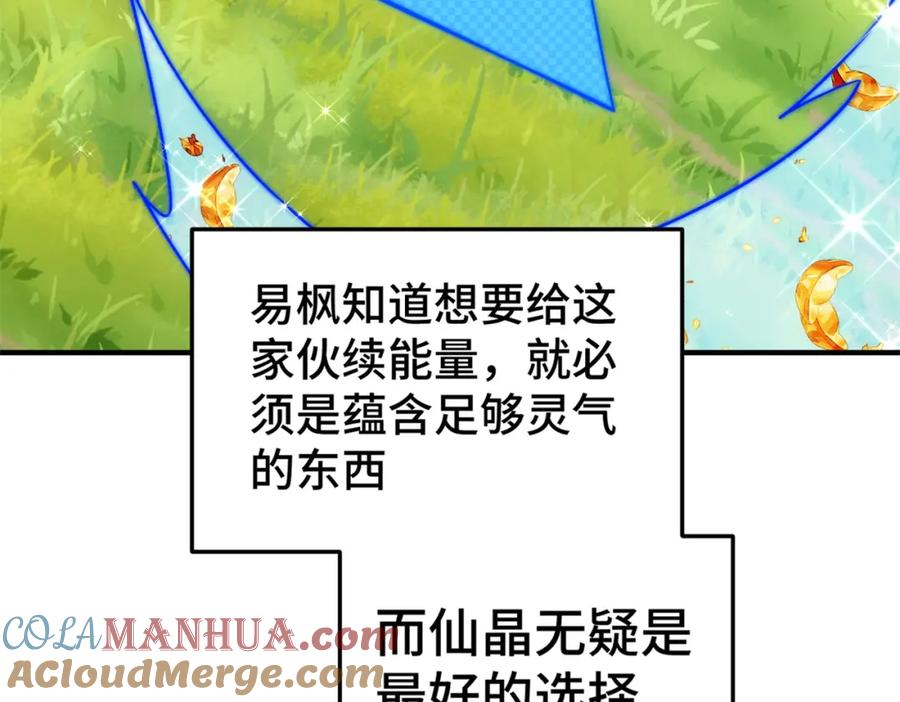 373.jpg