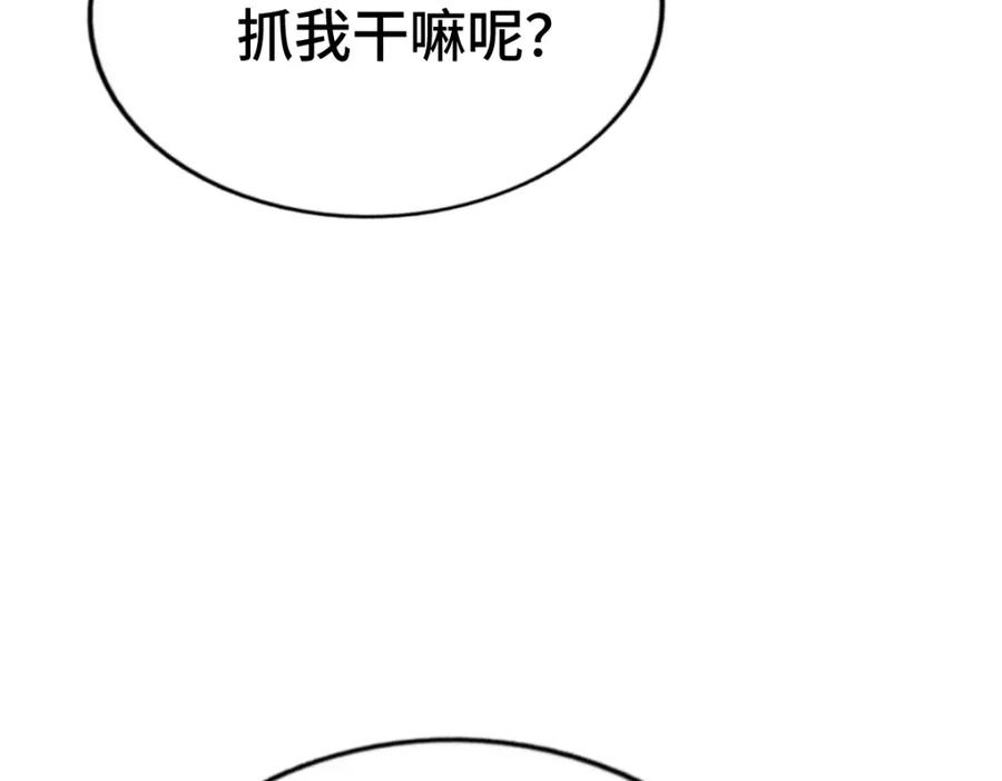 136.jpg