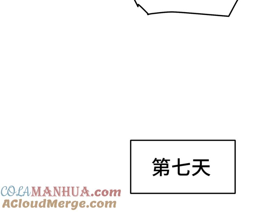 133.jpg