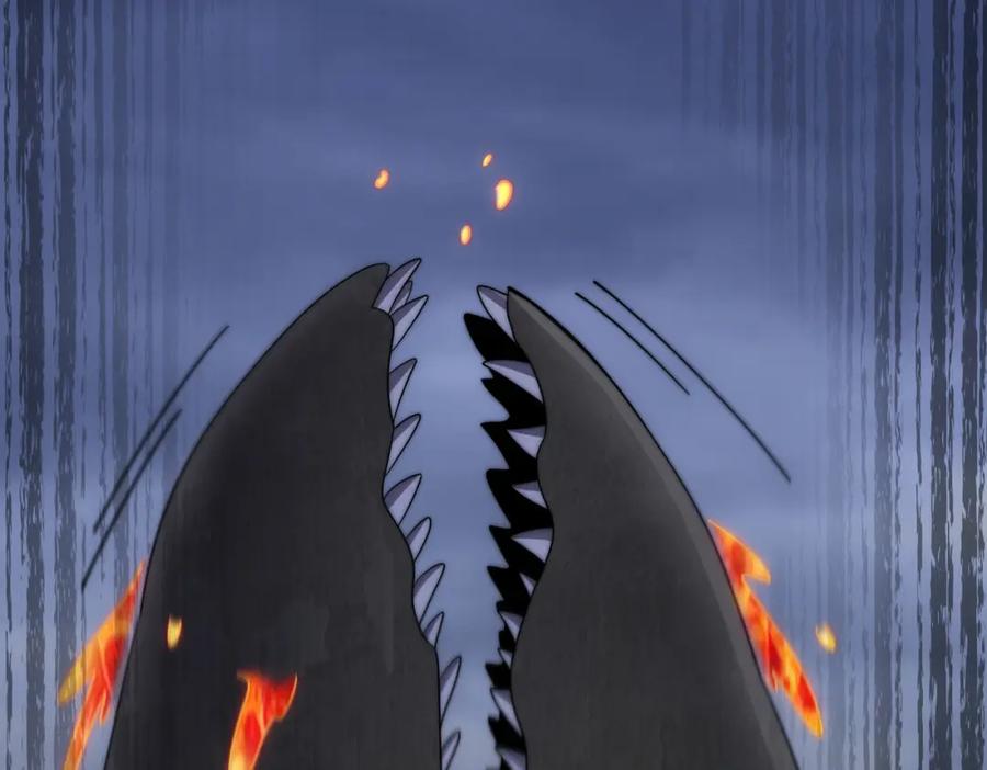 355.jpg