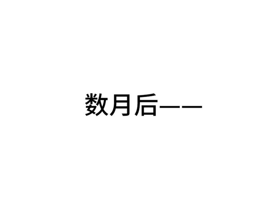 238.jpg