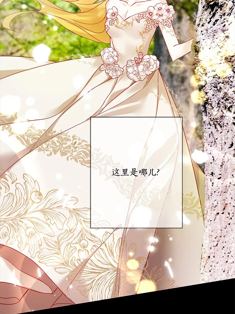 《龙套大公子妃的花路人生》12.约翰的真实身份 第8页