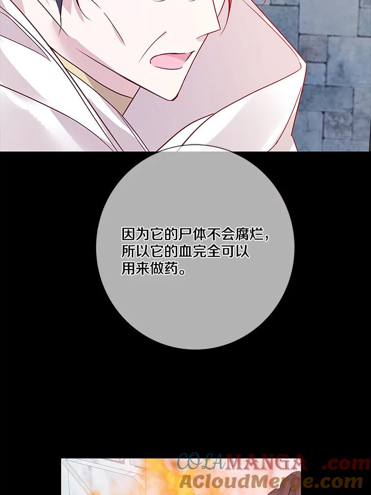 《龙套大公子妃的花路人生》13.药的来历 第81页