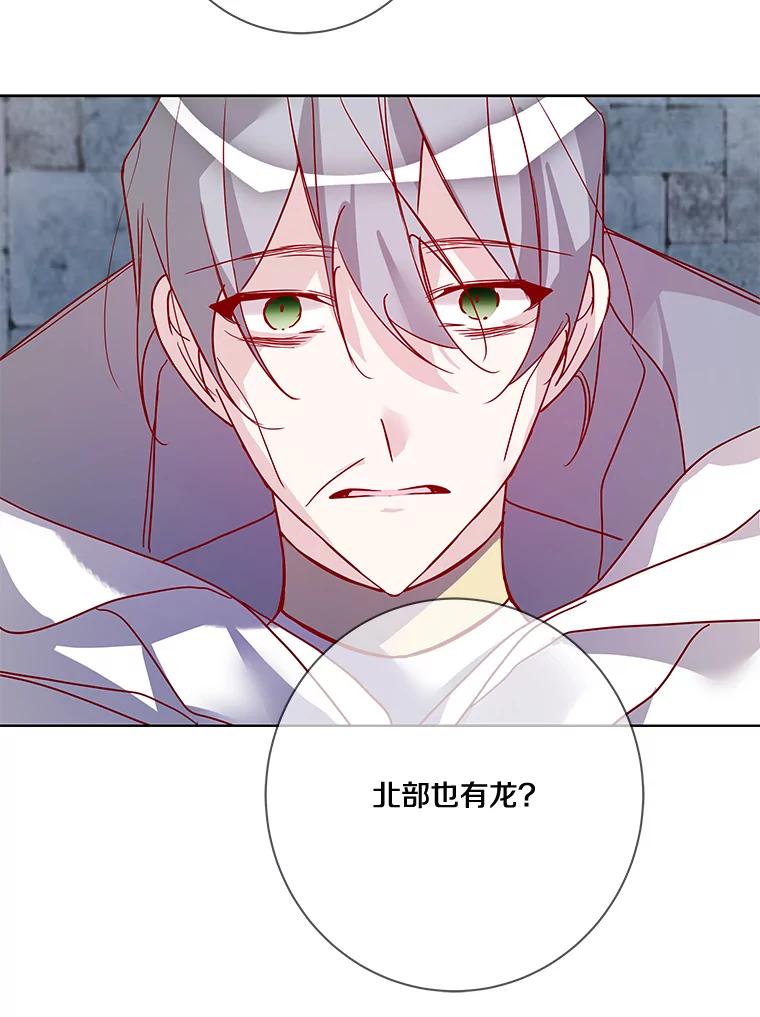 《龙套大公子妃的花路人生》13.药的来历 第12页