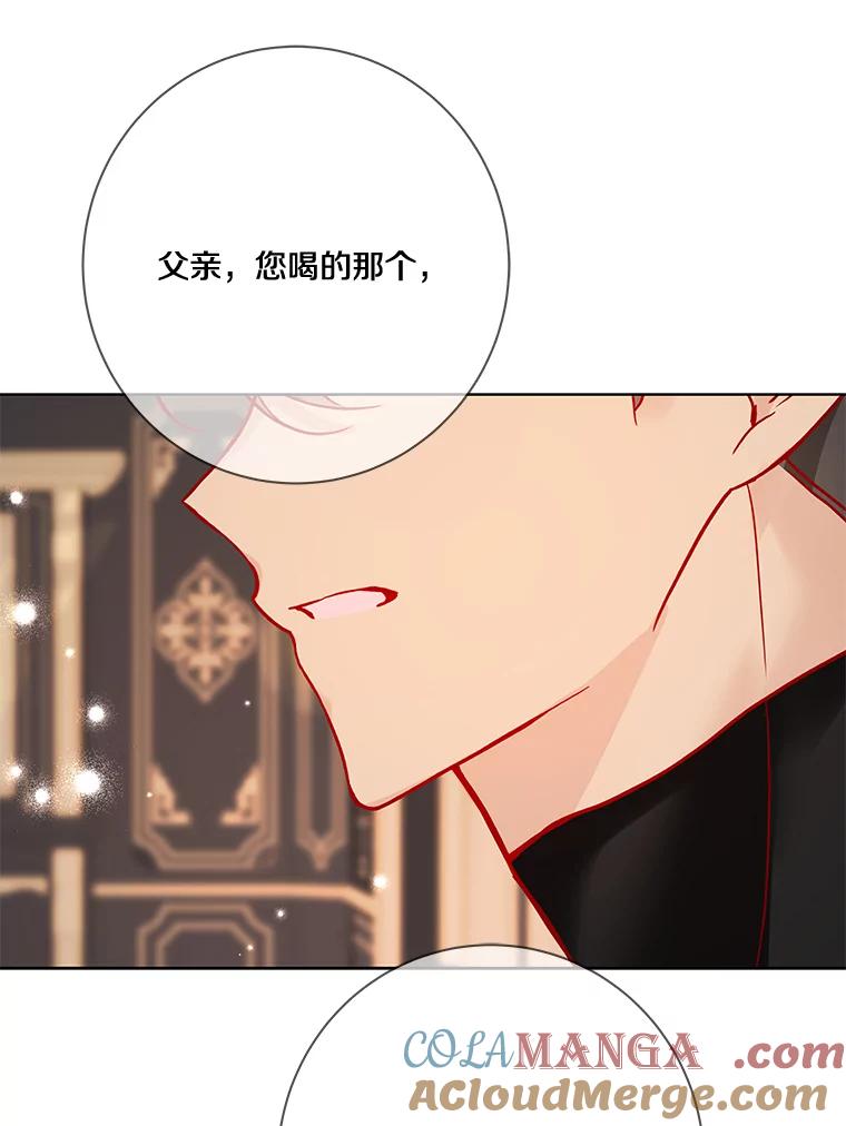 《龙套大公子妃的花路人生》13.药的来历 第77页