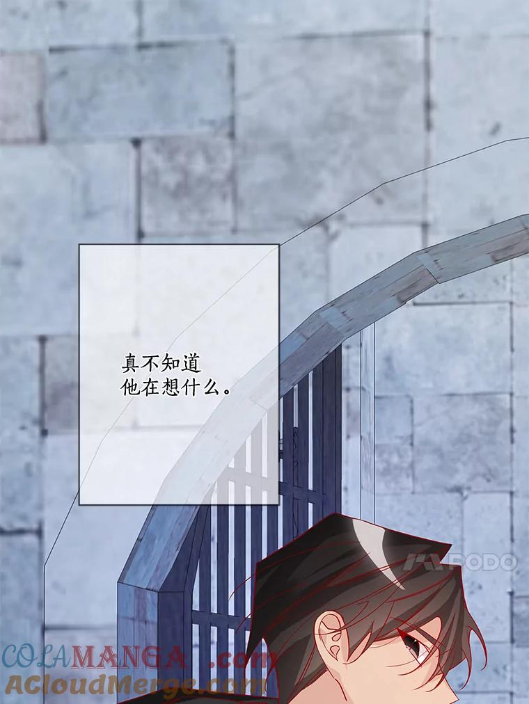《龙套大公子妃的花路人生》13.药的来历 第13页