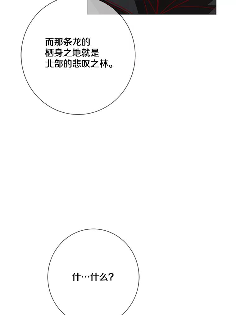 《龙套大公子妃的花路人生》13.药的来历 第11页