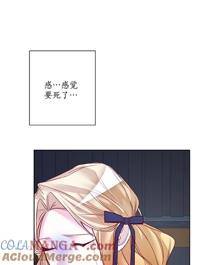 《龙套大公子妃的花路人生》5.到北部了 第73页