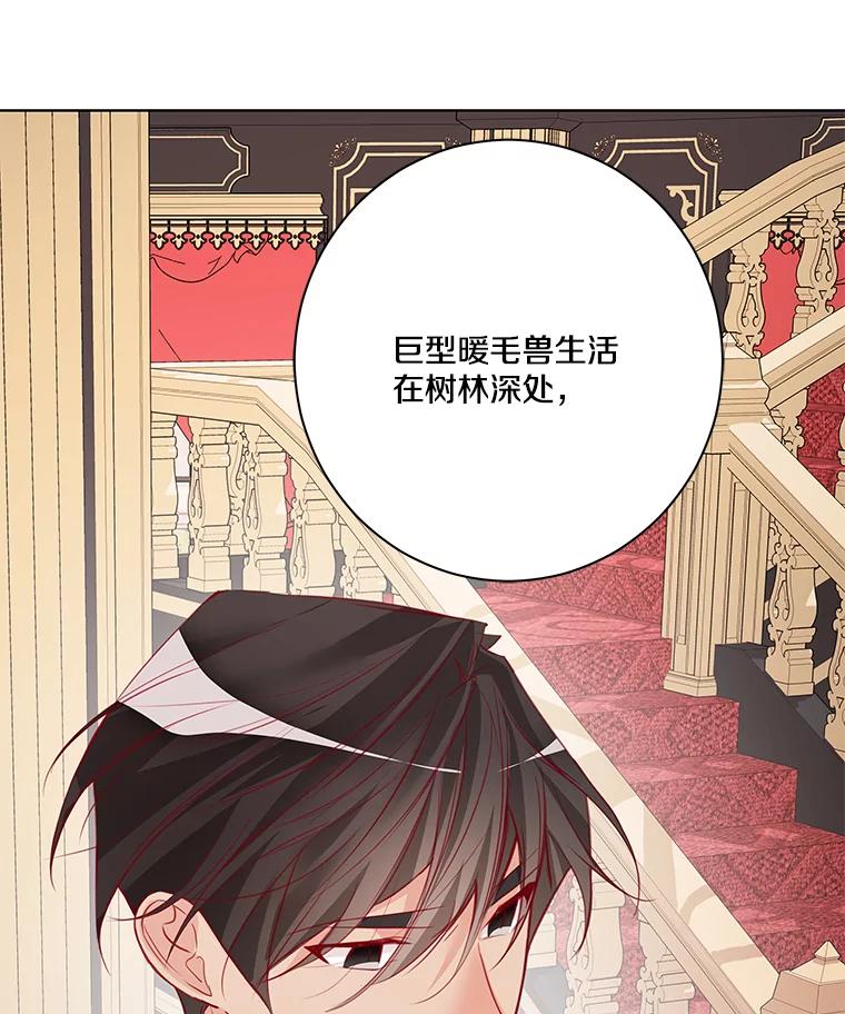 《龙套大公子妃的花路人生》5.到北部了 第50页