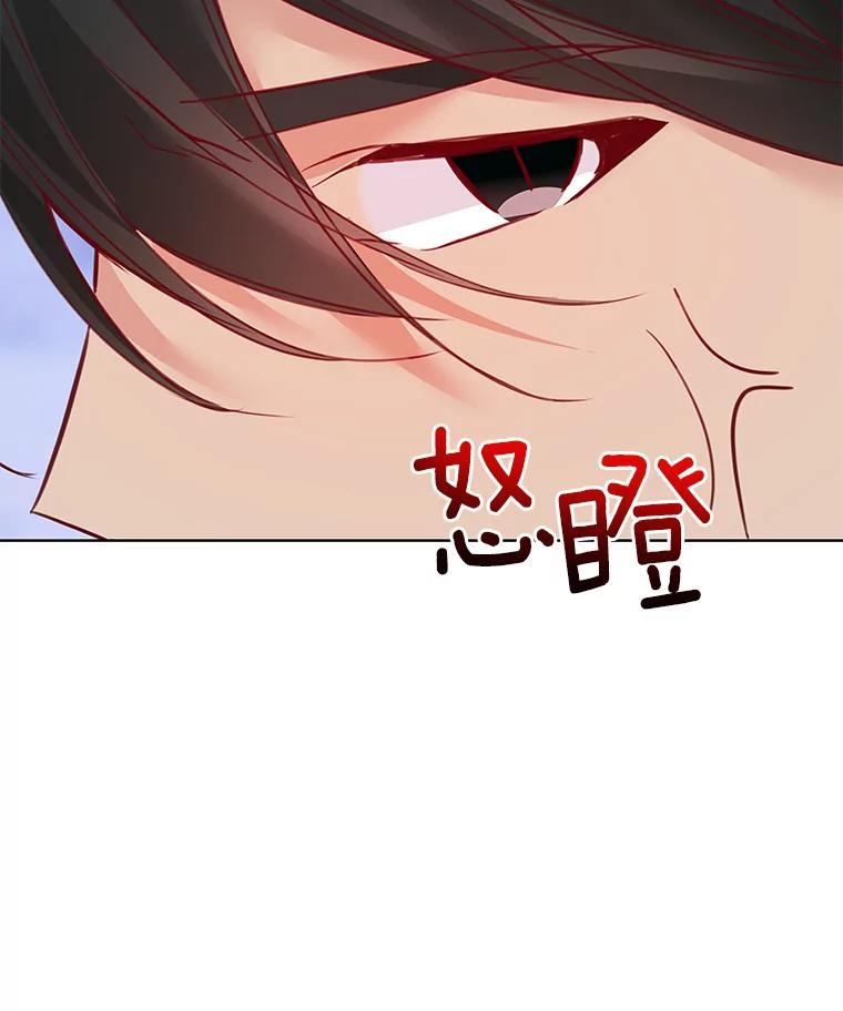 《龙套大公子妃的花路人生》6.两人相见 第107页