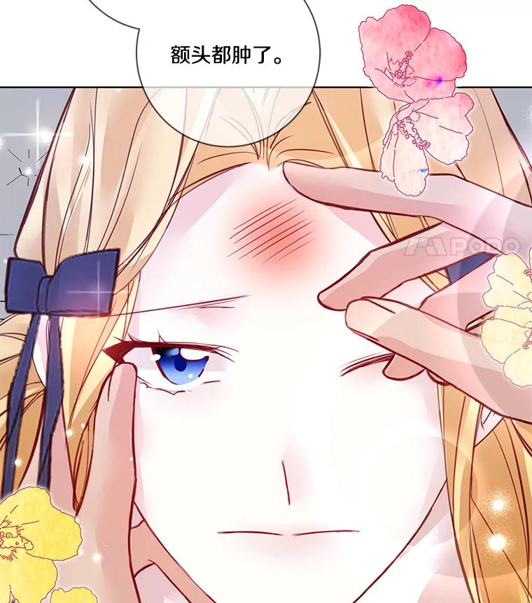 《龙套大公子妃的花路人生》6.两人相见 第112页