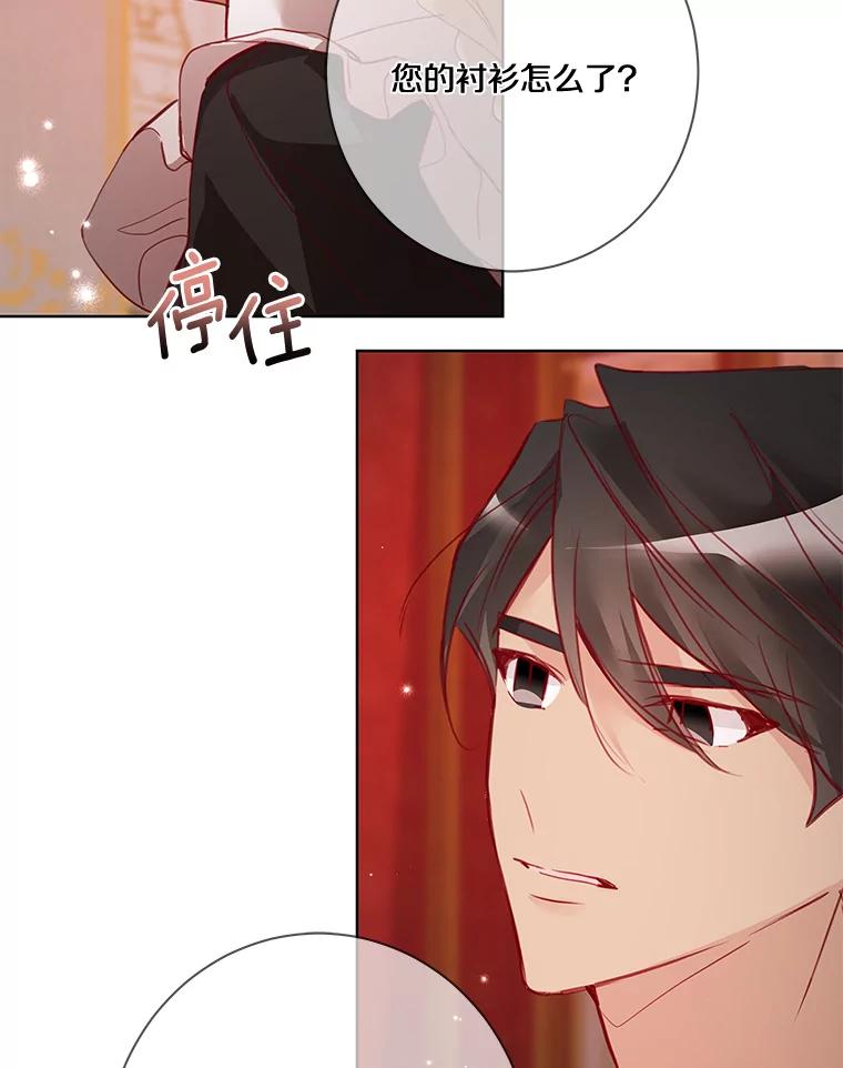 《龙套大公子妃的花路人生》8.大公子妃的义务 第108页