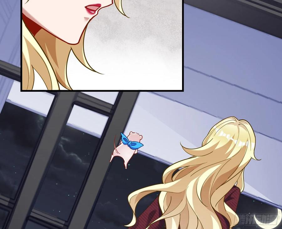 51.jpg