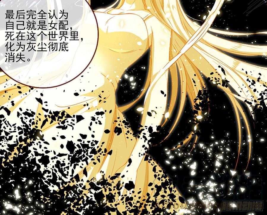 《万渣朝凰之首相大人》女配的记忆 第13页