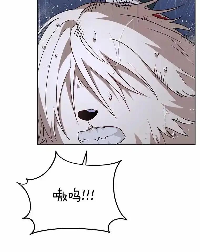 《你好？兽医先生！》58.小古历险记（2） 第35页