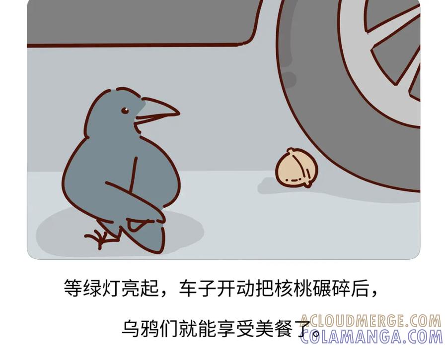 《胖达x胖达》第246话 第19页
