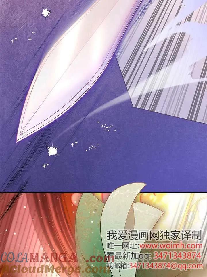 我拒绝了宠爱，为什么还要执着啊 第48话 第117页