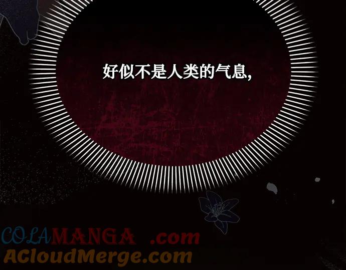 《黑暗皇女：雅什泰洛迪》第35话 第245页