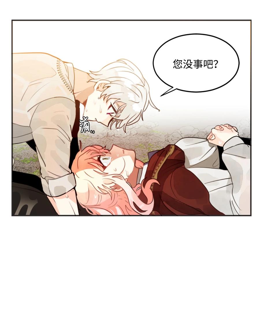 《未婚夫每天都想暗杀我》8 红尾巴盗贼团 第14页