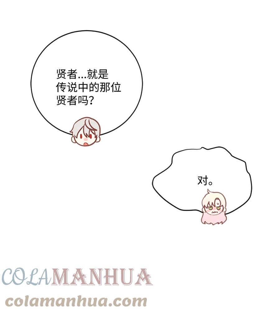 《未婚夫每天都想暗杀我》13 贤者的传闻 第43页