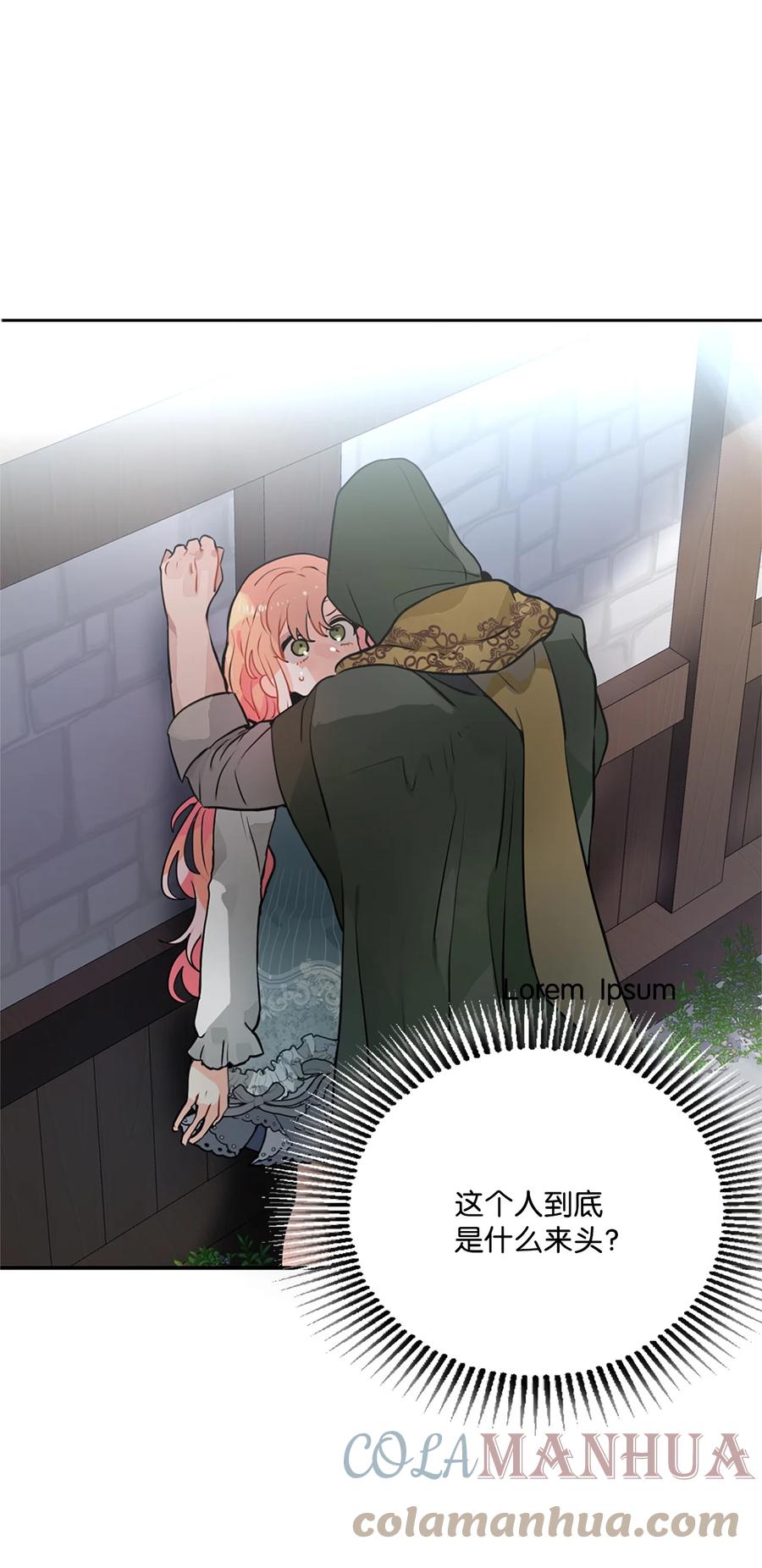 《未婚夫每天都想暗杀我》15 帮手利贝勒 第1页