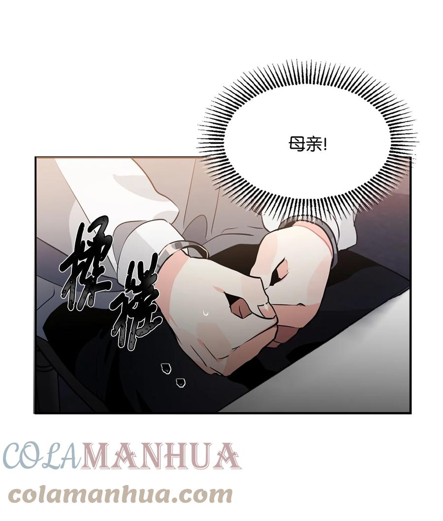 《未婚夫每天都想暗杀我》17 可怕的布莱皮亚 第22页
