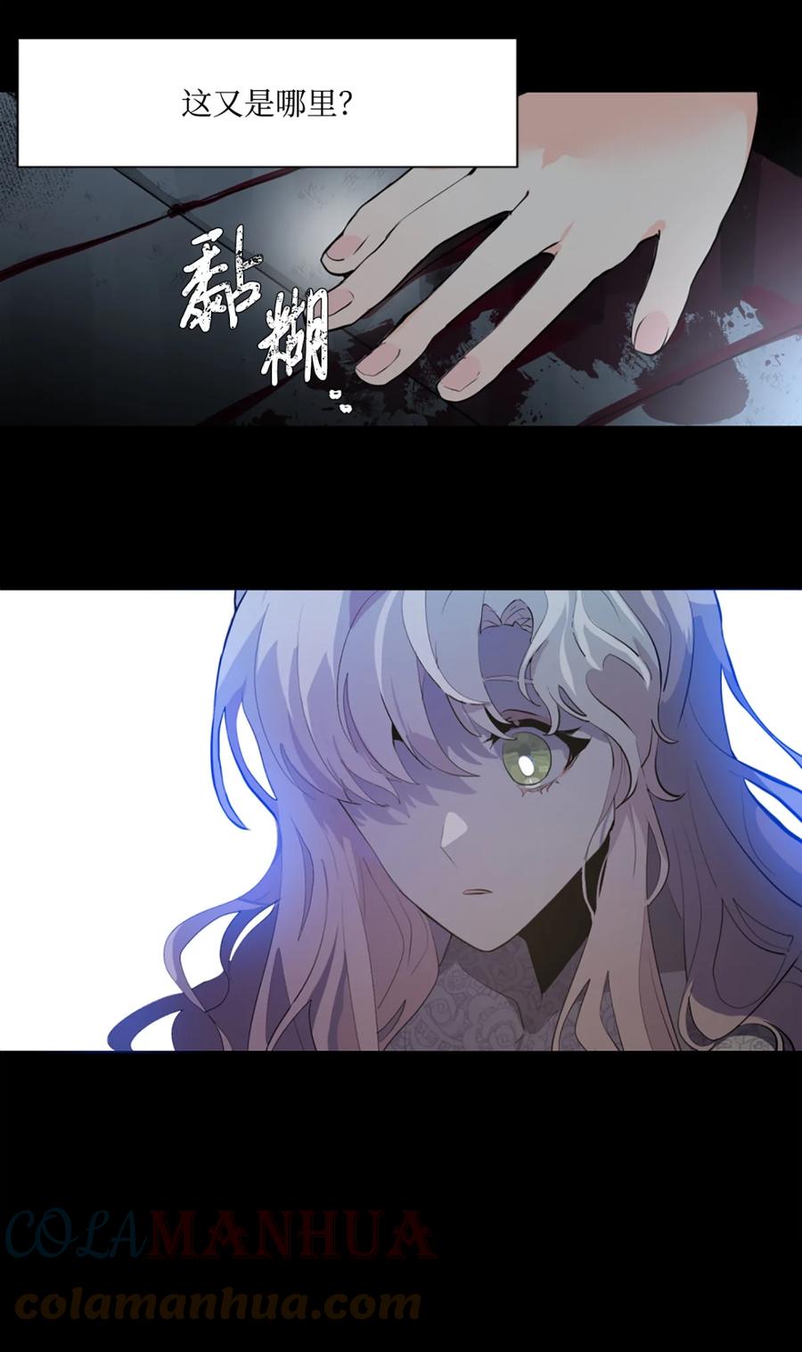 《未婚夫每天都想暗杀我》1 不明所以的穿越 第31页