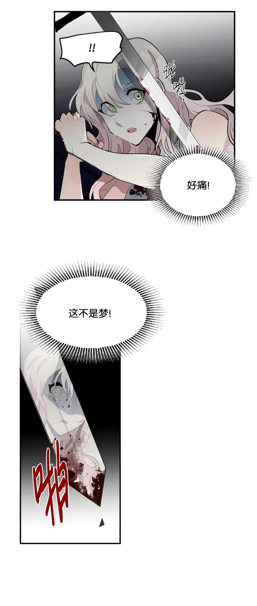 《未婚夫每天都想暗杀我》1 不明所以的穿越 第47页