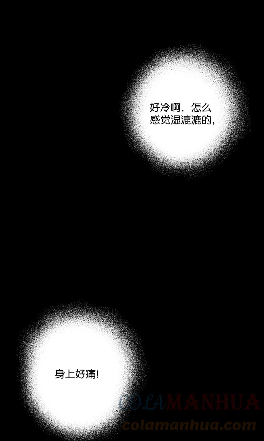 《未婚夫每天都想暗杀我》1 不明所以的穿越 第28页