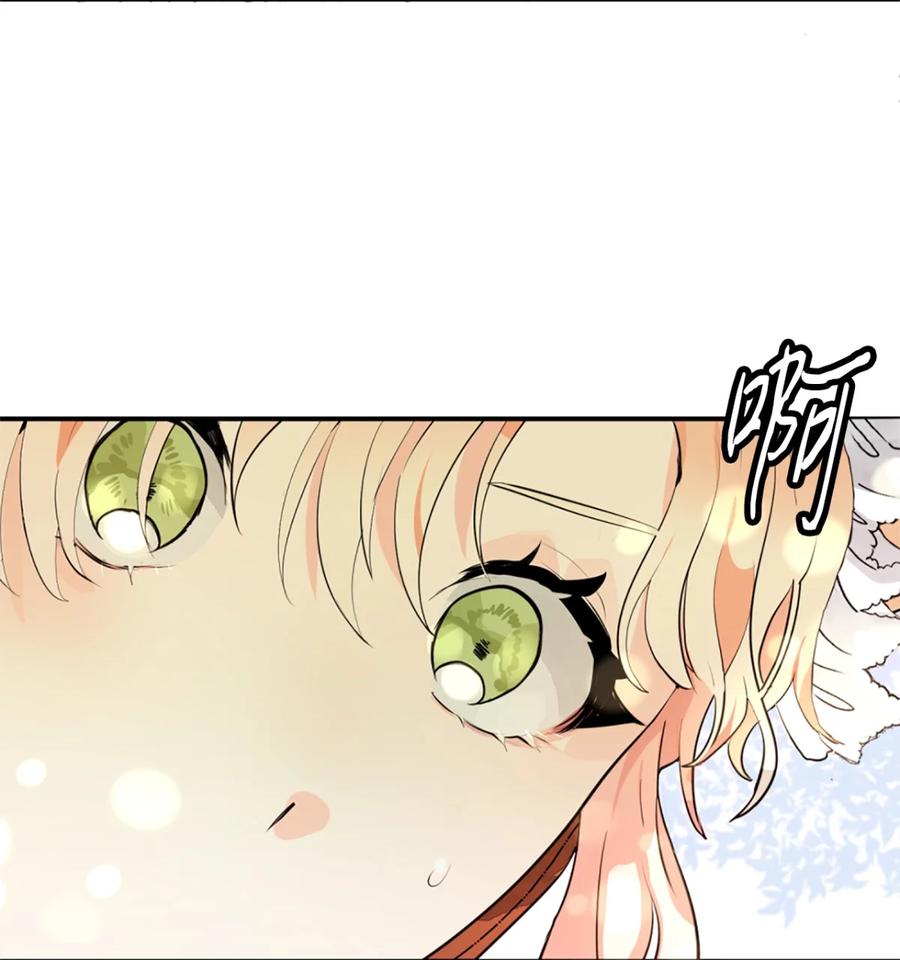 《未婚夫每天都想暗杀我》1 不明所以的穿越 第63页