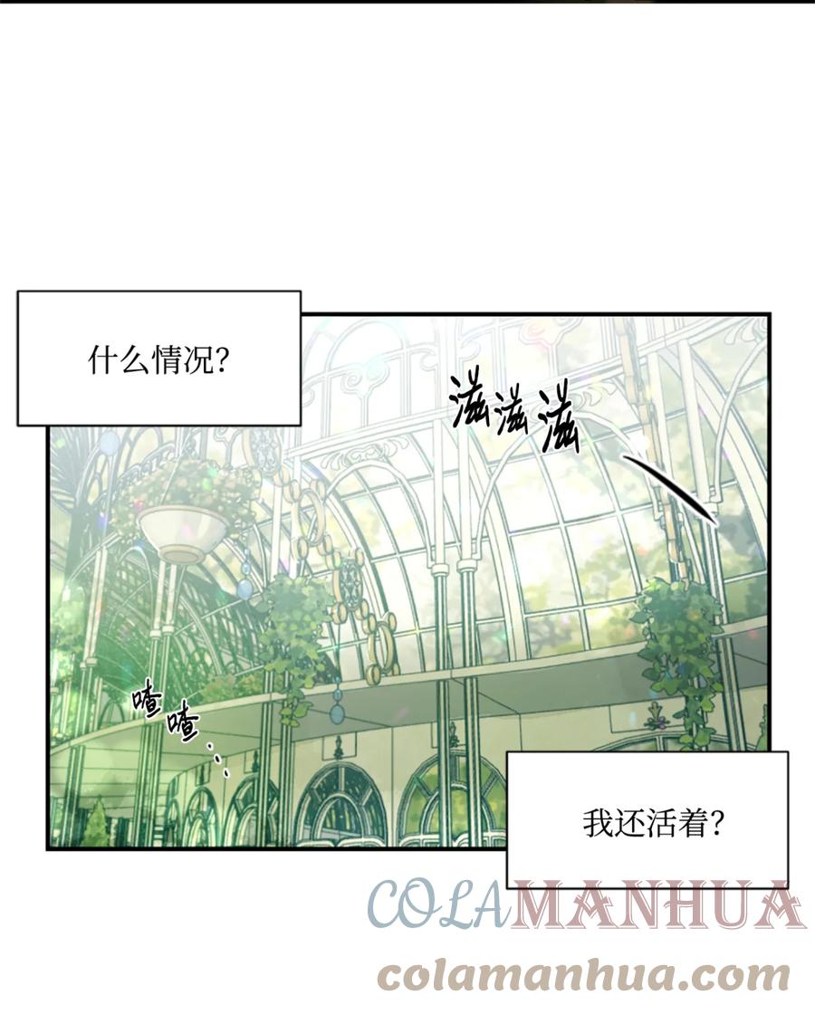 《未婚夫每天都想暗杀我》1 不明所以的穿越 第64页