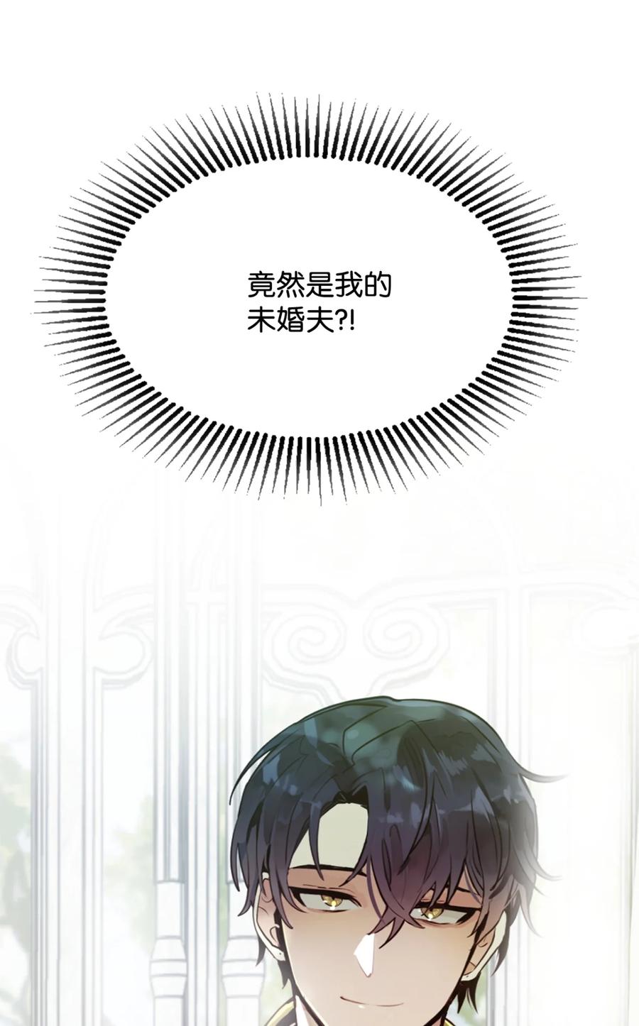 《未婚夫每天都想暗杀我》1 不明所以的穿越 第74页