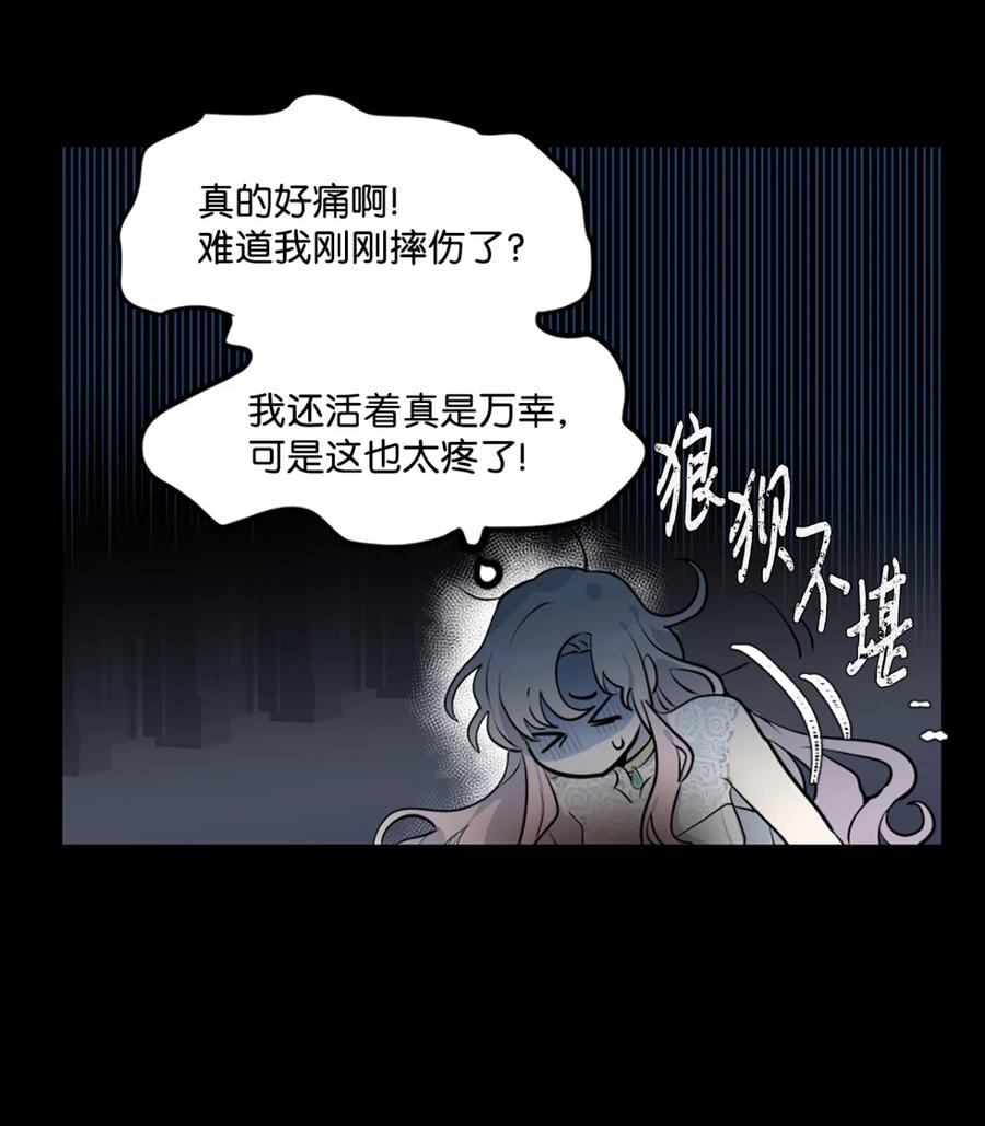 《未婚夫每天都想暗杀我》1 不明所以的穿越 第30页