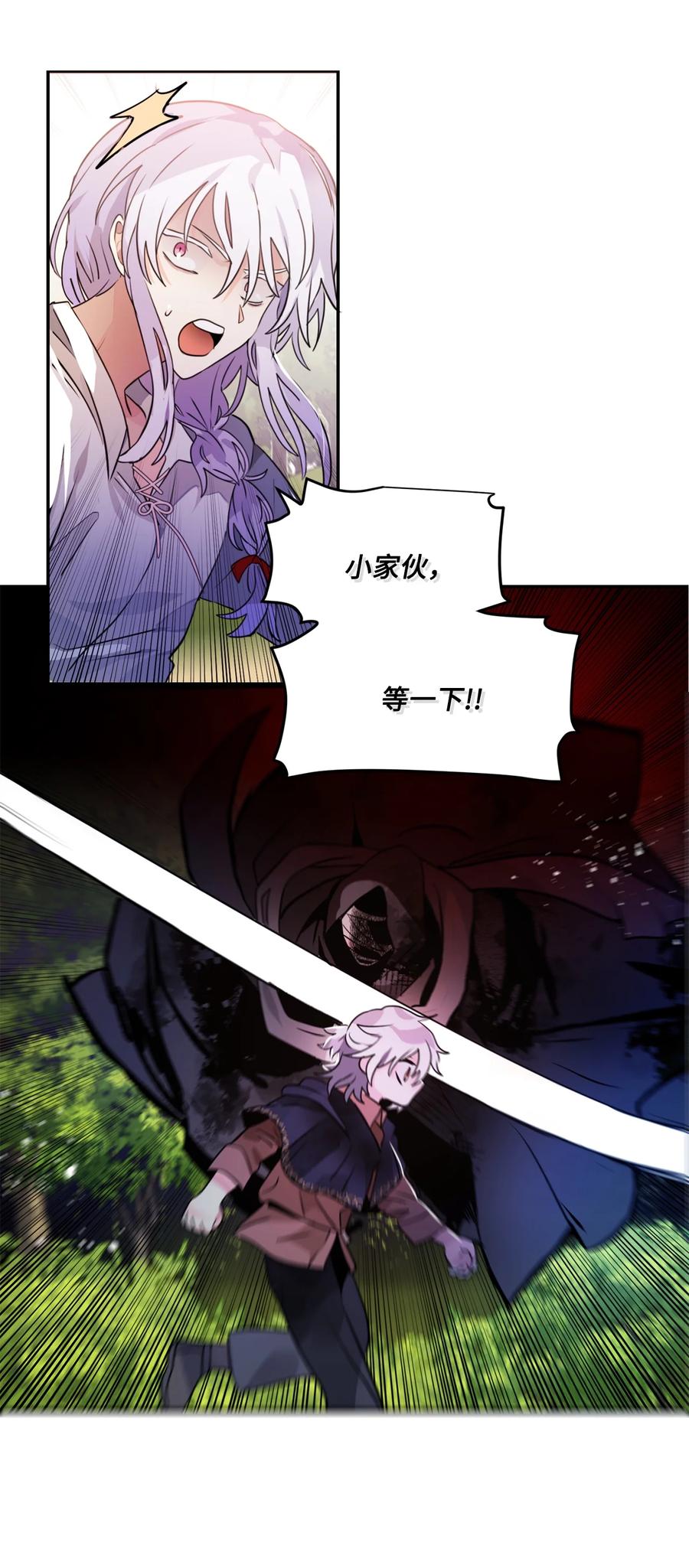 《未婚夫每天都想暗杀我》31 起名字 第47页