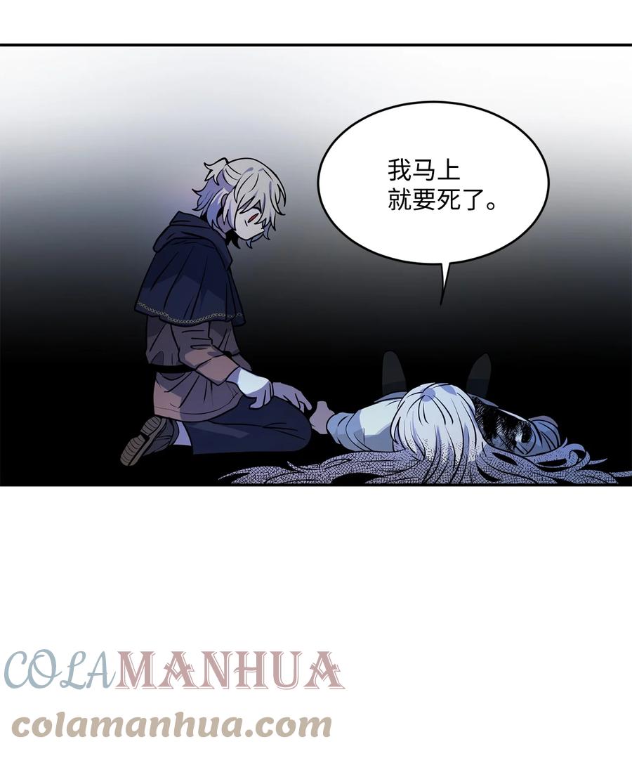 《未婚夫每天都想暗杀我》32 昔日同僚成仇敌 第45页