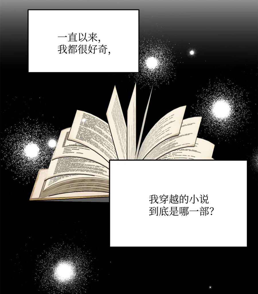 《未婚夫每天都想暗杀我》33 里克离世 第47页